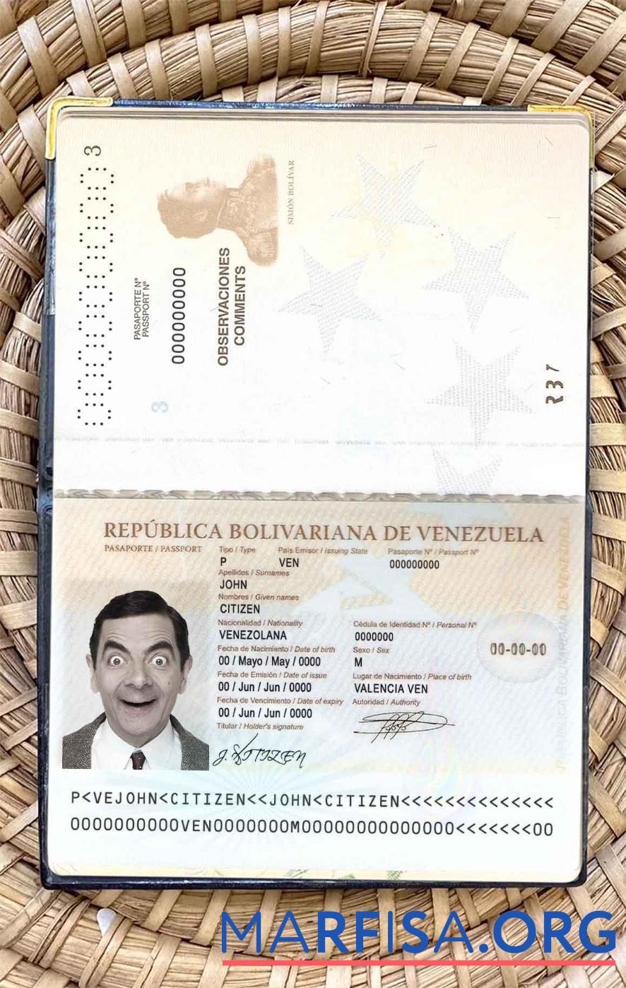 Printable Venezuela passport photo look example